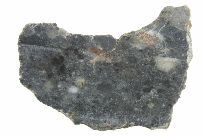 Lunar Meteorite ( g) Slice - Bechar #348168
